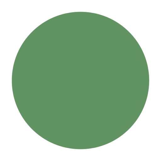 A green circle on a black background.