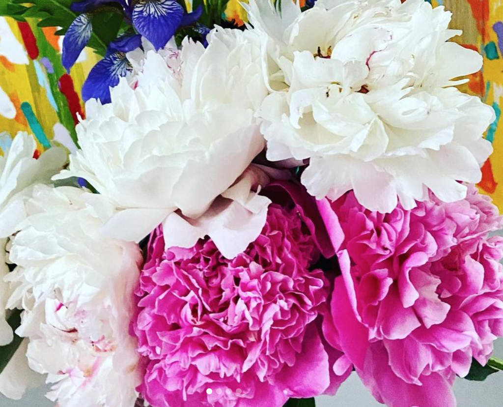 A bouquet of large, ruffled white and pink peonies with colorful background.