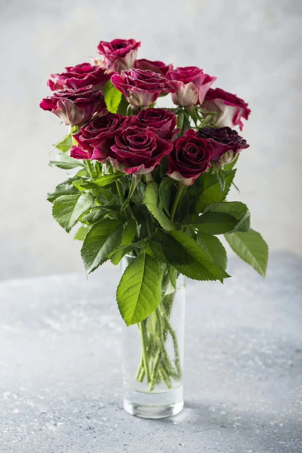 A bouquet of dark pink roses with green leaves in a clear glass vase on a gray surface.
