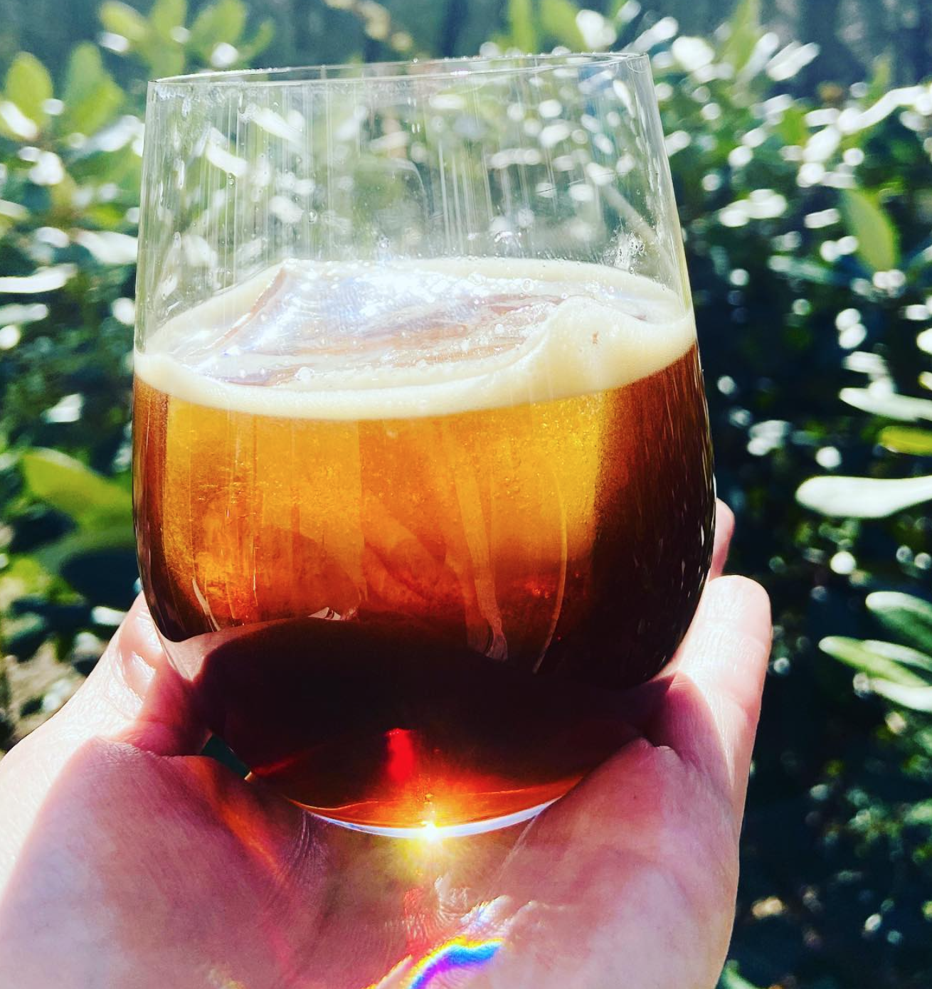 A person holding a glass of amber-colored beer with a foamy head, outdoors with green foliage in the background.