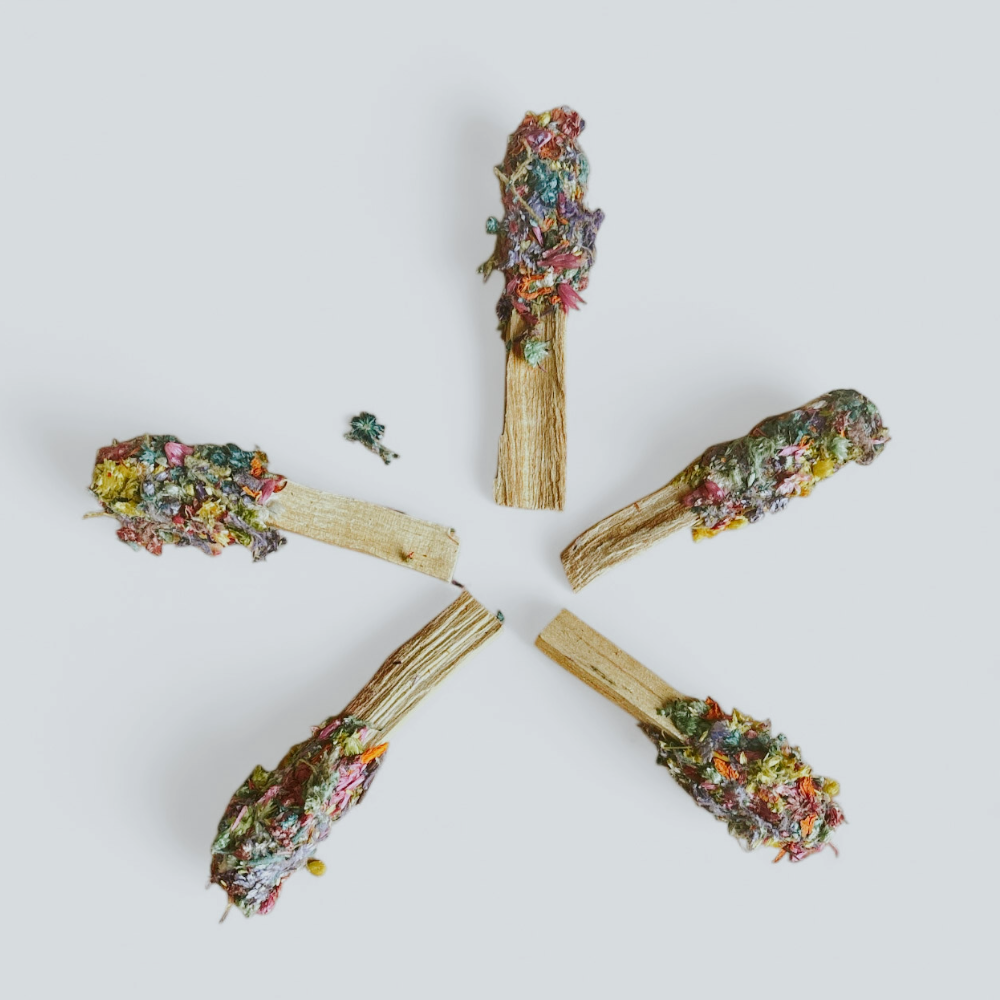 Five Palo Sant sticks dipped in dried florals arranged in a star pattern.