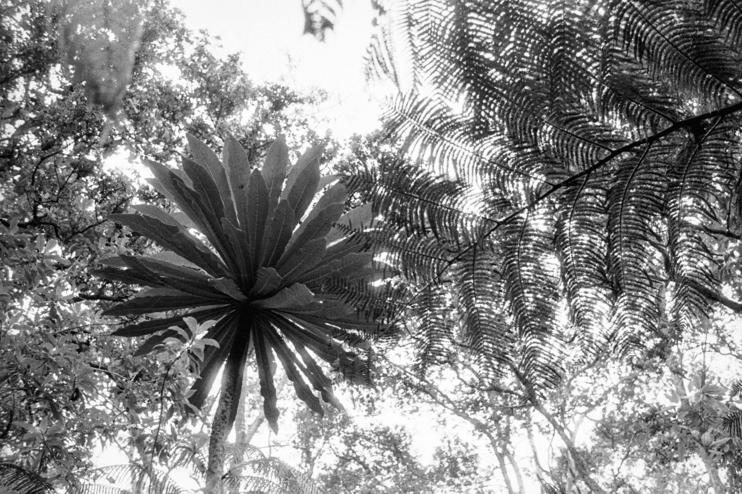 img20260515_10315325-2.jpg