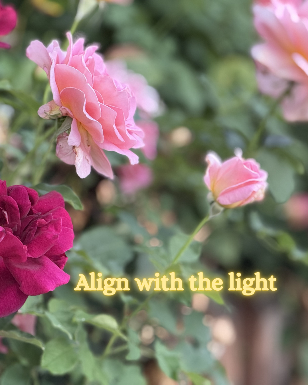 Only Ever Met By Love 03/31/26