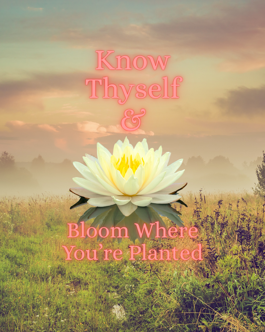 Know Thyself: the soul’s impulse 6/24/26