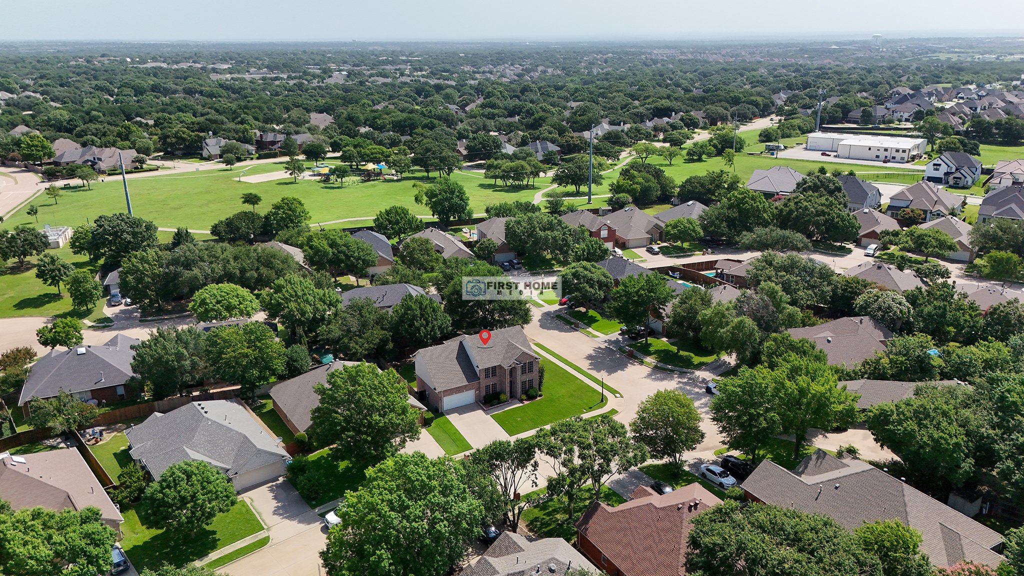 1604Tree_drone4.jpg