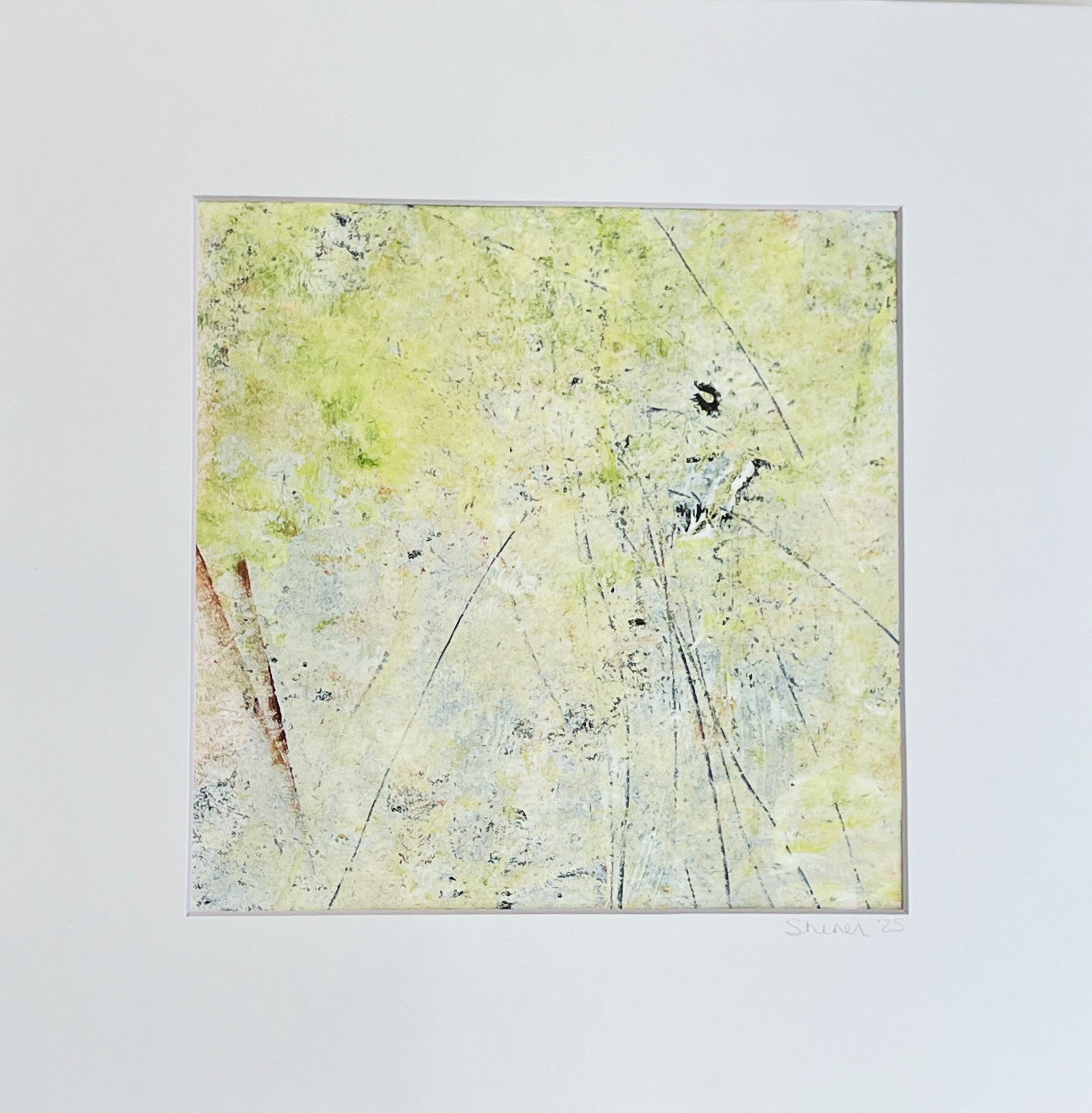 Chartreuse Caboose Study