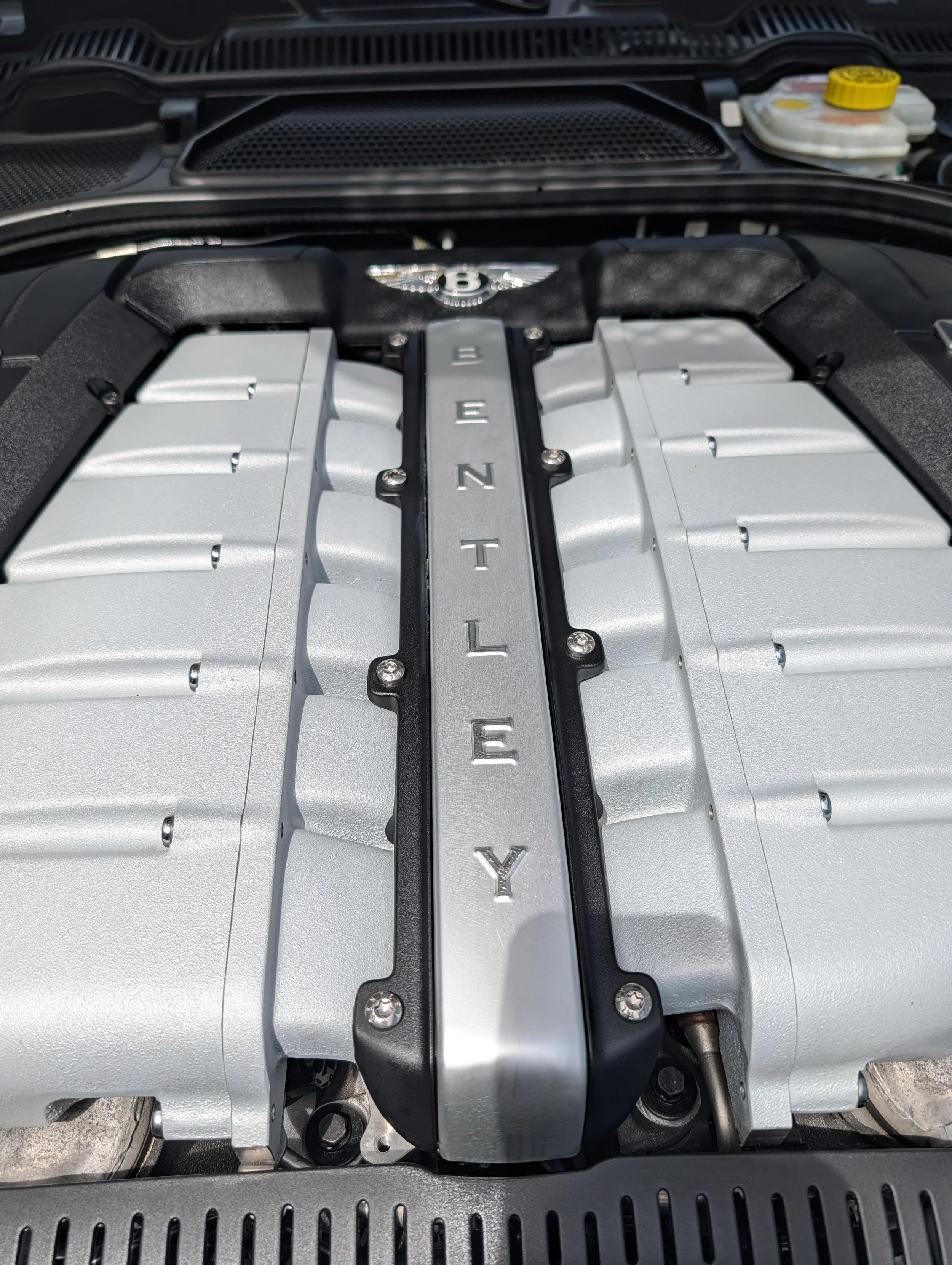 Luxury Car and Classic Engine Detailing