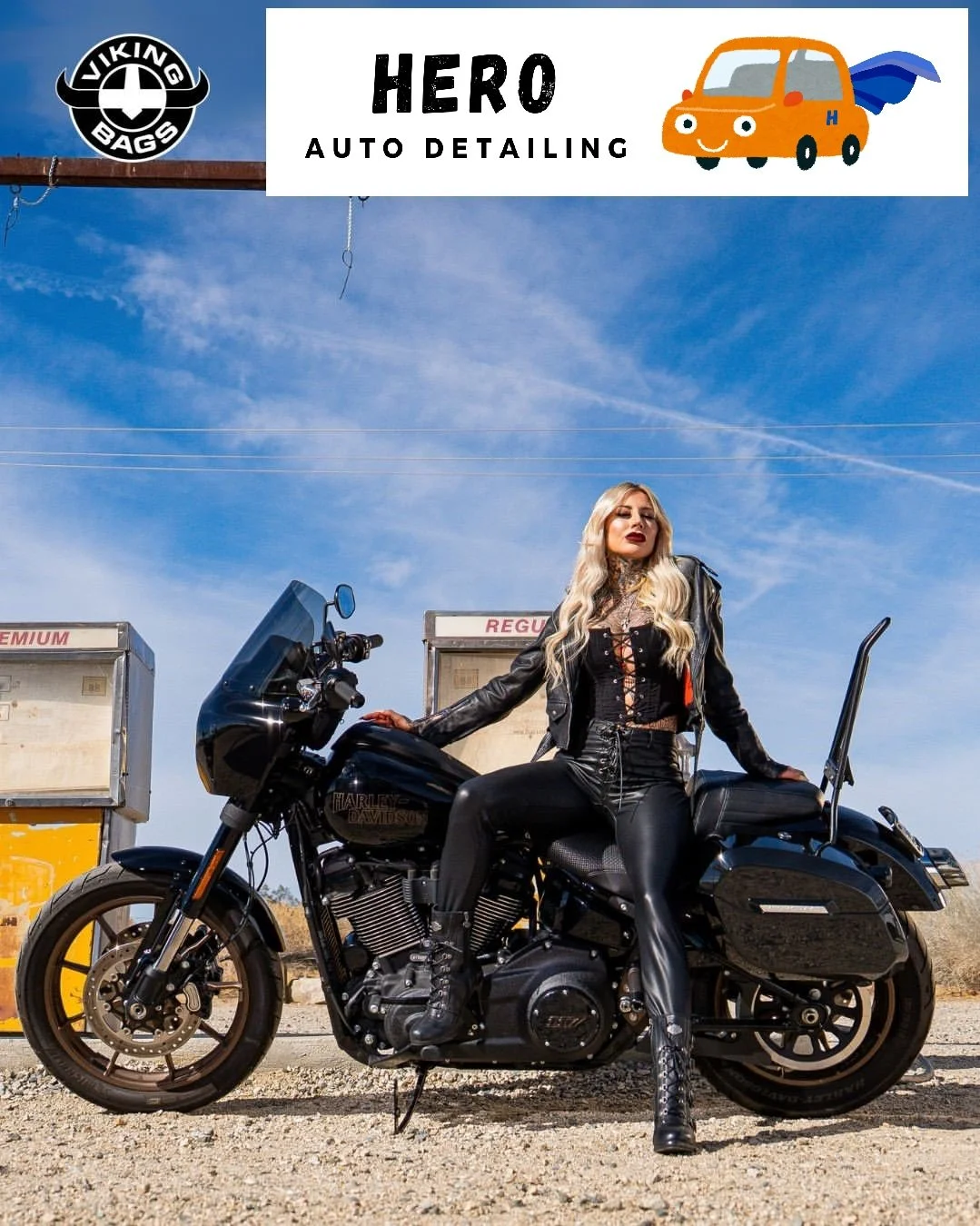 Motorcycle Detailing by Hero Auto Detailing in San Francisco featuring Viking Bags San Mateo