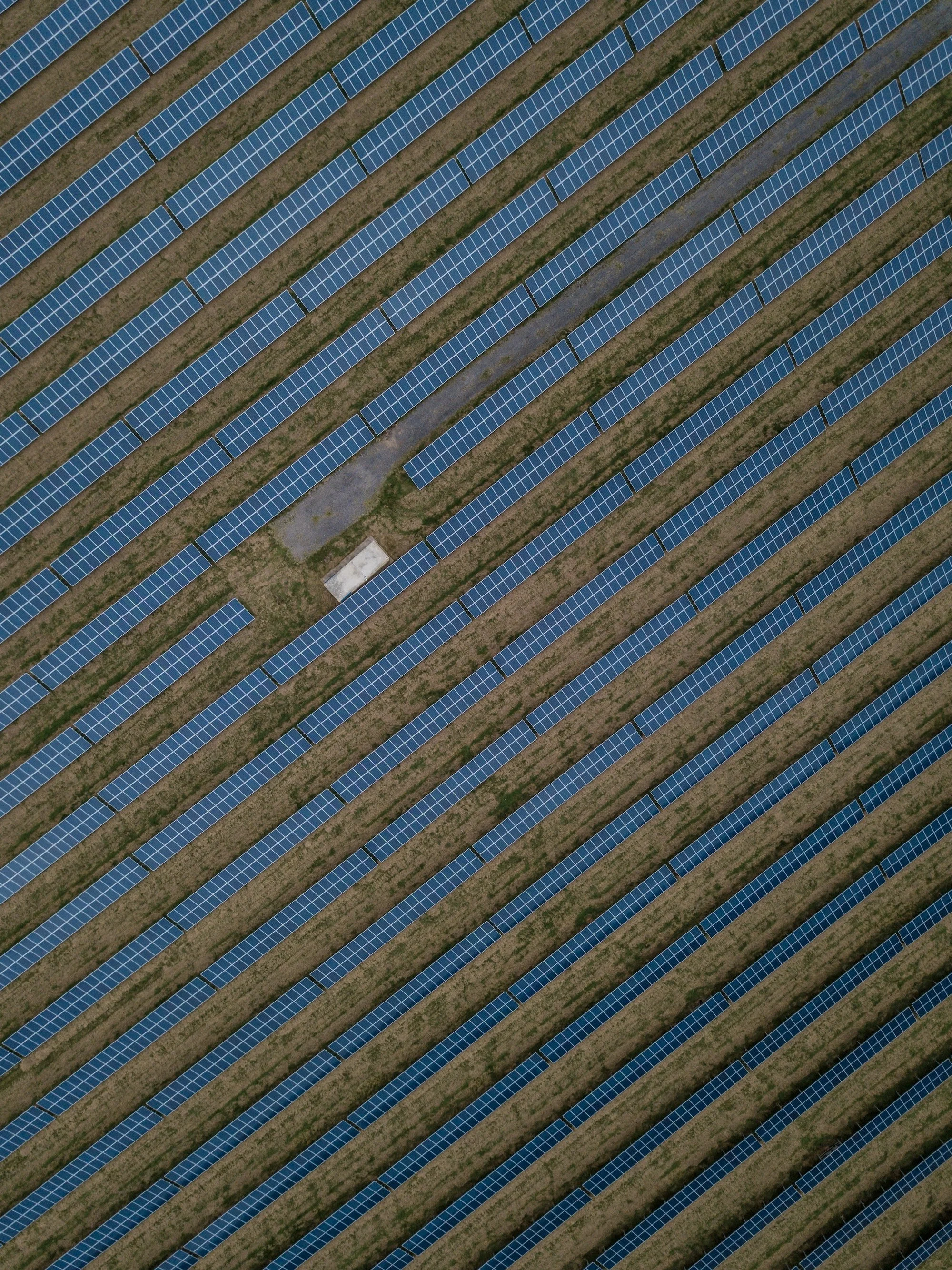 ryan-searle-oeSxn9z_15I-unsplash.jpg