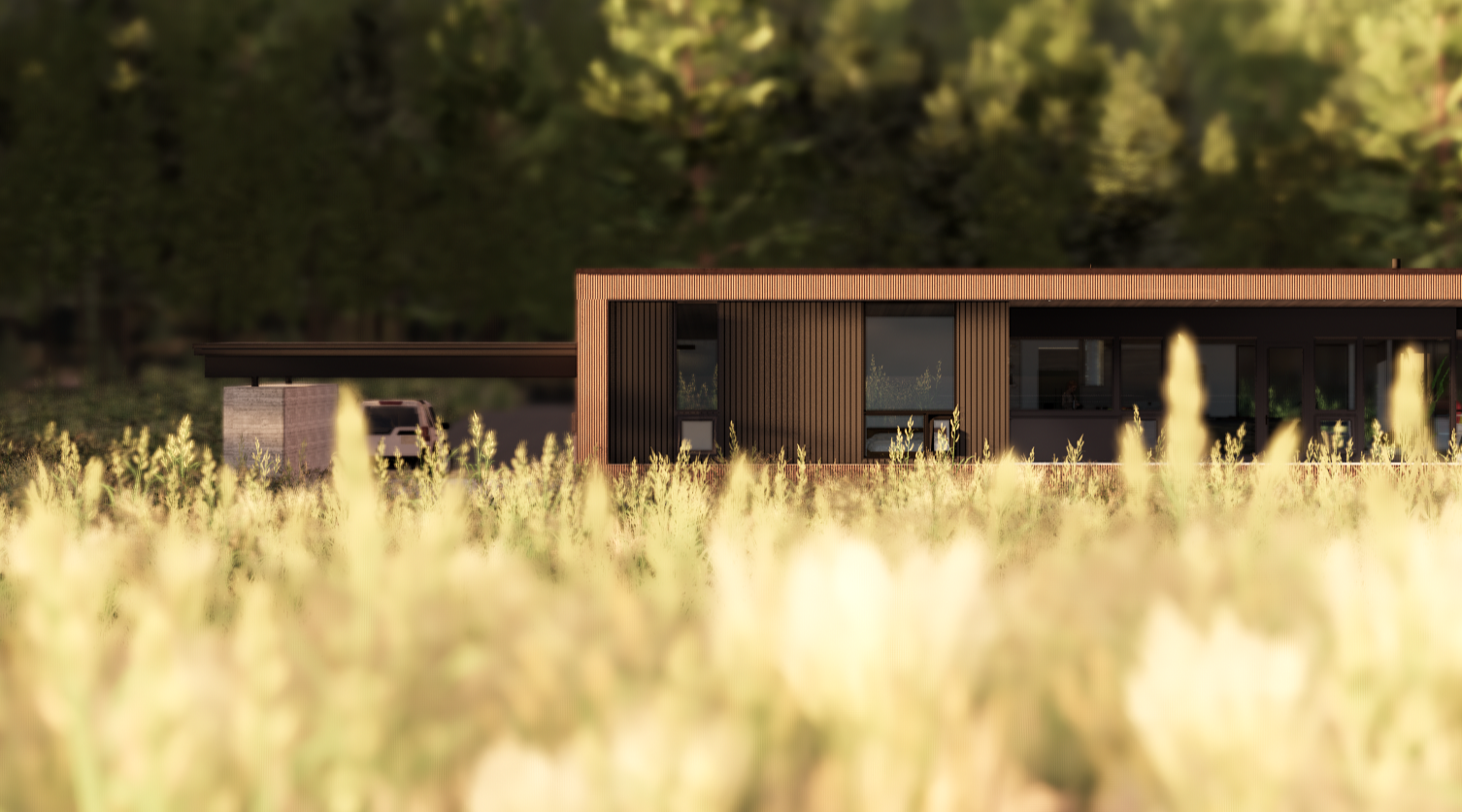 flowstate-architecture-meadowhouse-newman lake-day 4.png