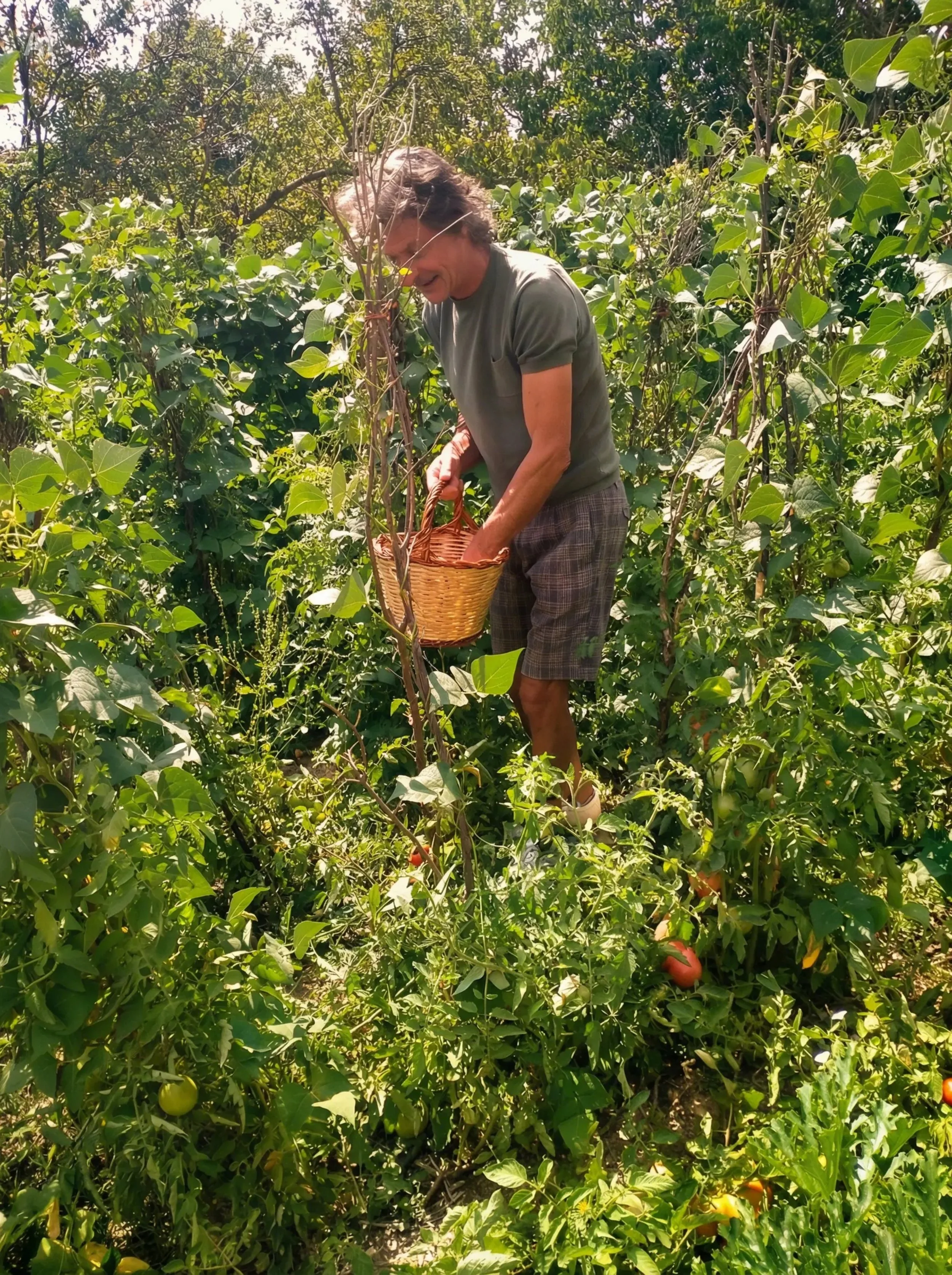 Koen