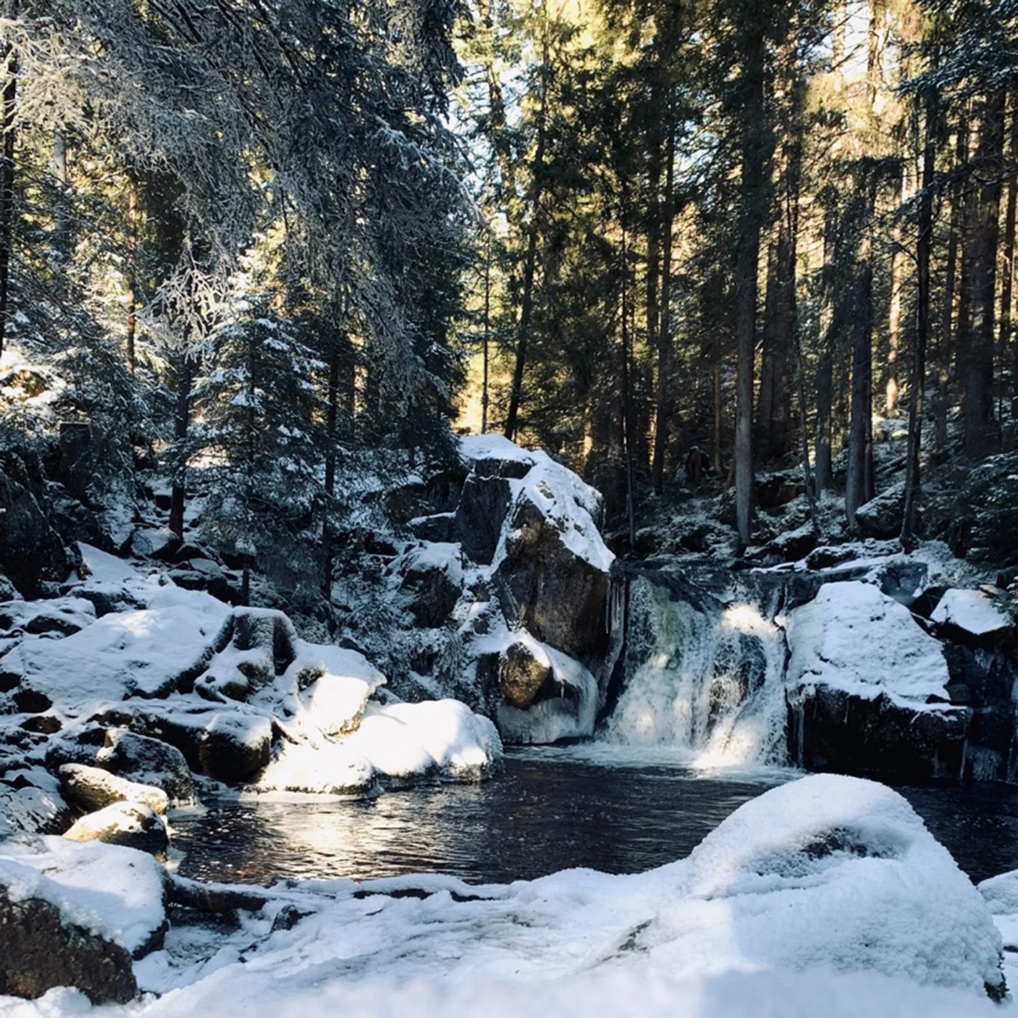 Schwarzwald