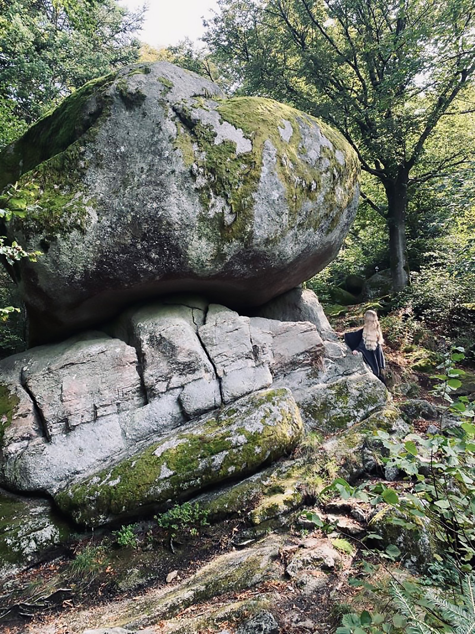Solfelsen Paulina Vogt