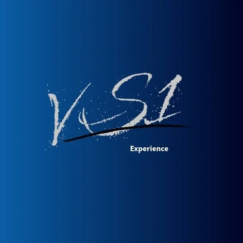 Vs1 Experience
