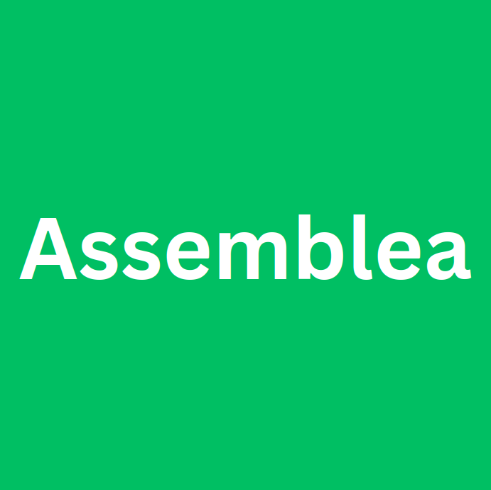 Assemblea dei soci