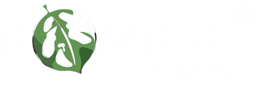 Pompipiplants