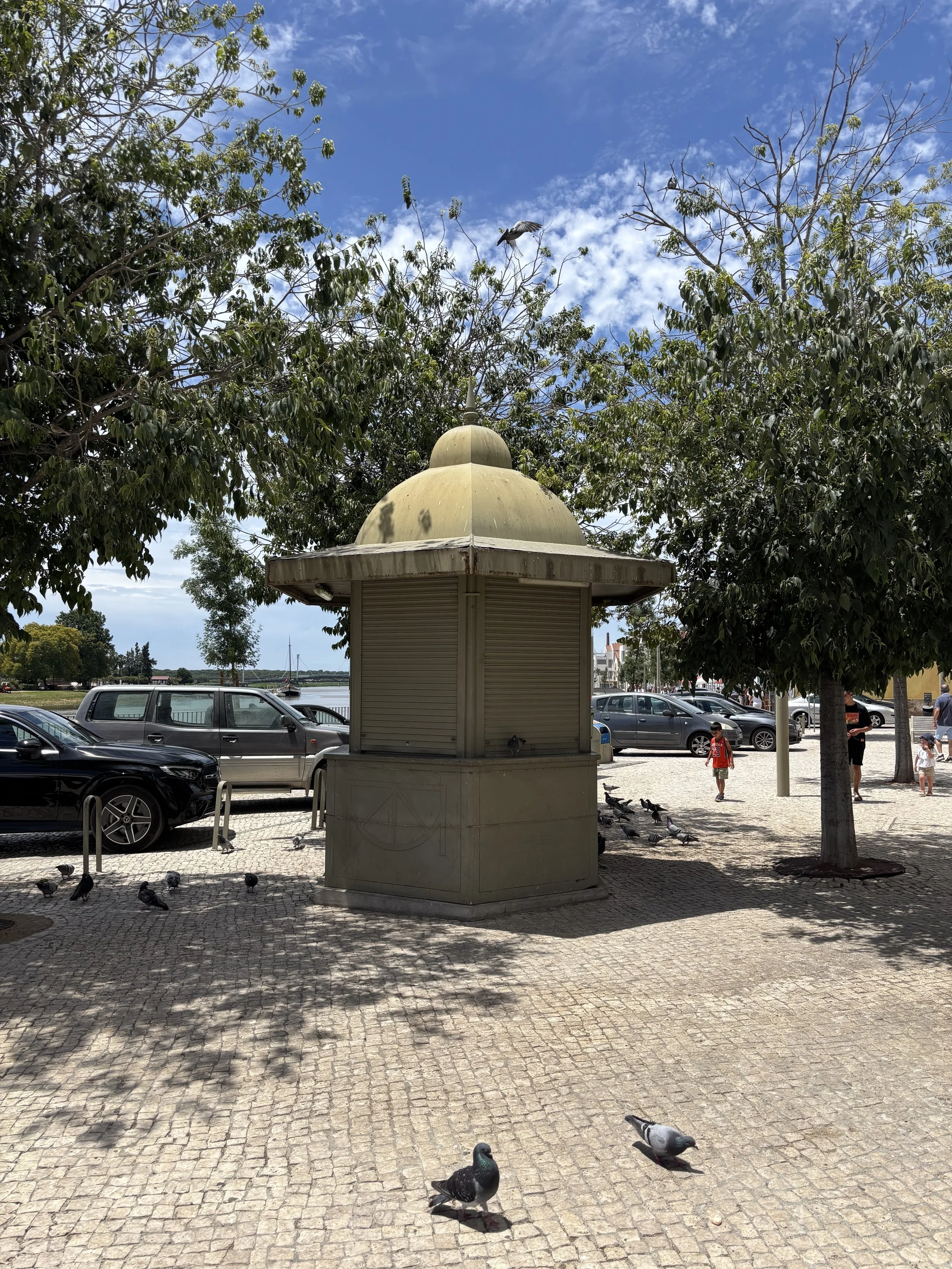 IMG_4120.jpeg