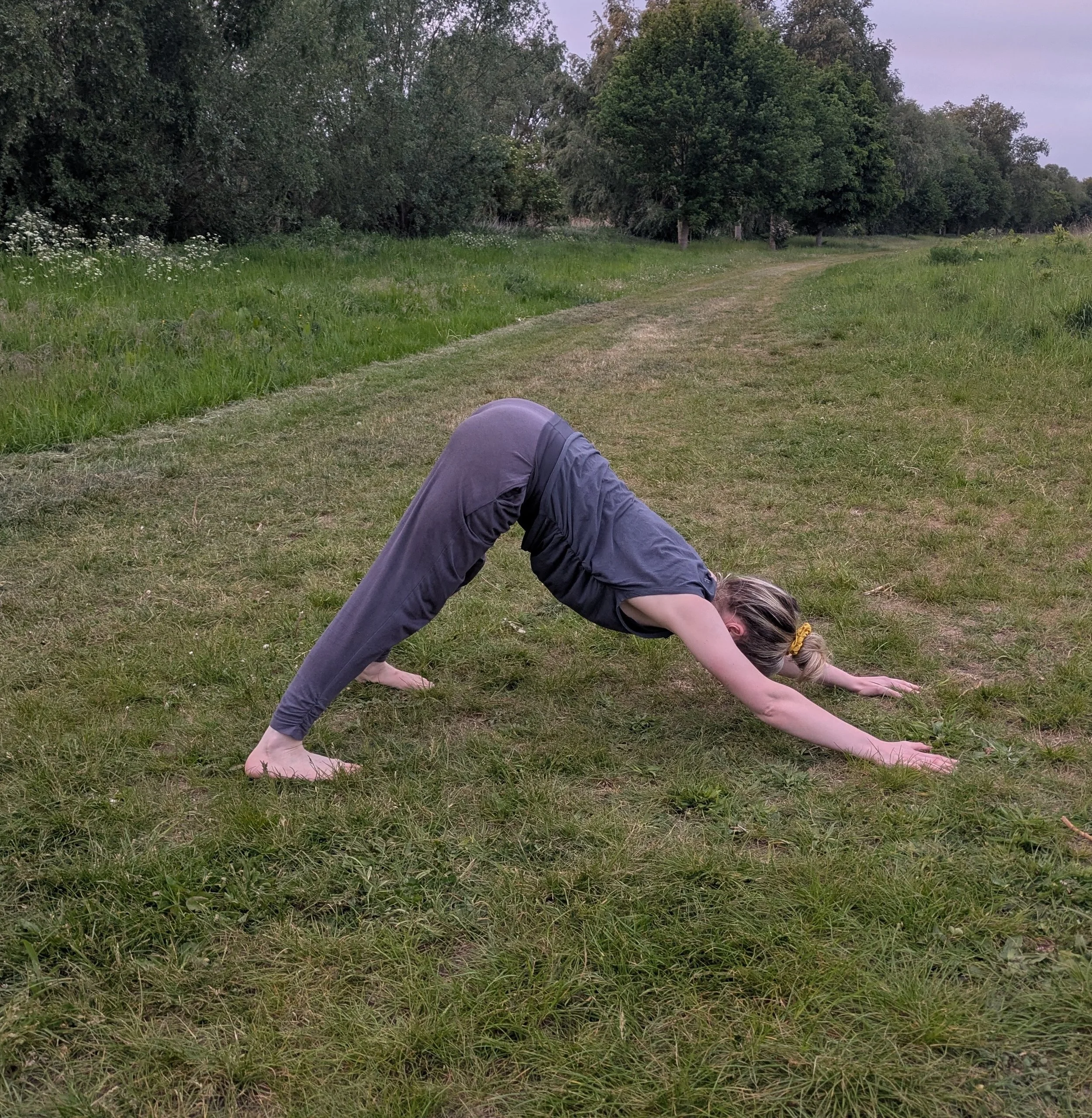 Woman in downward facing dog pose on grass.