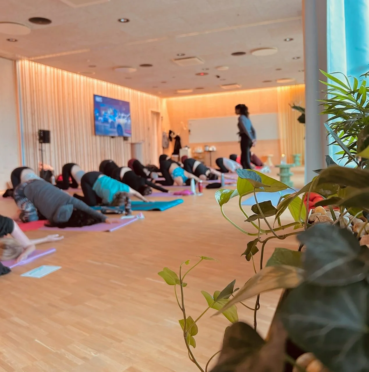 WhatsApp Image 2025-08-03 at 17.07.26 (1).jpeg