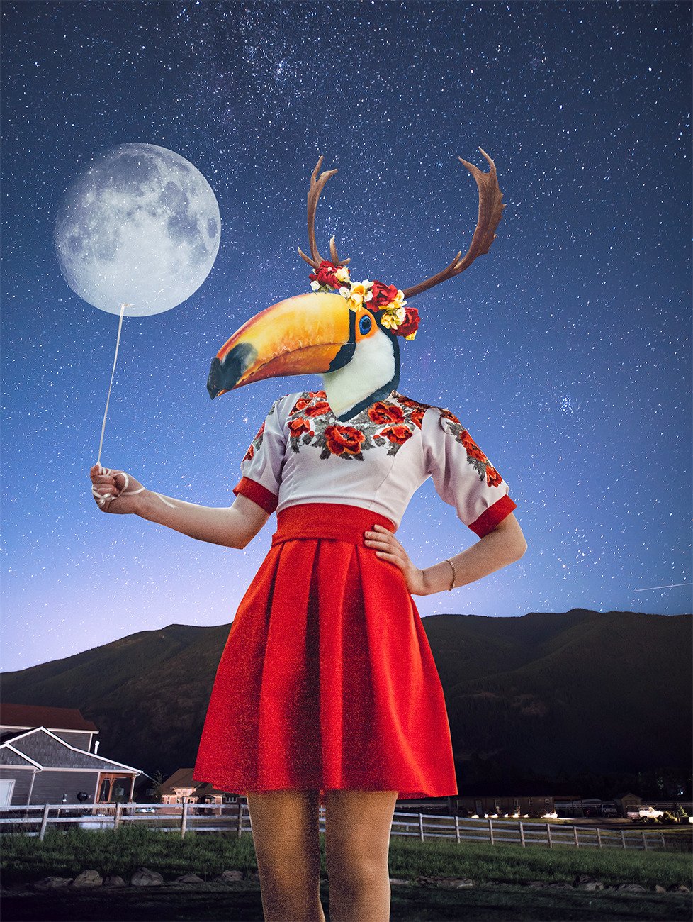 Collage_026.jpg
