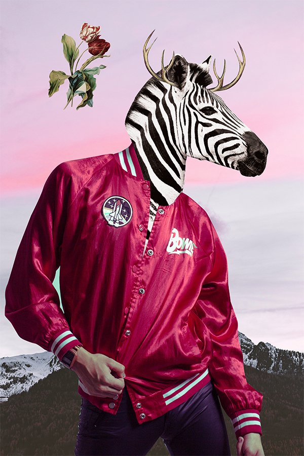 Collage_02.jpg