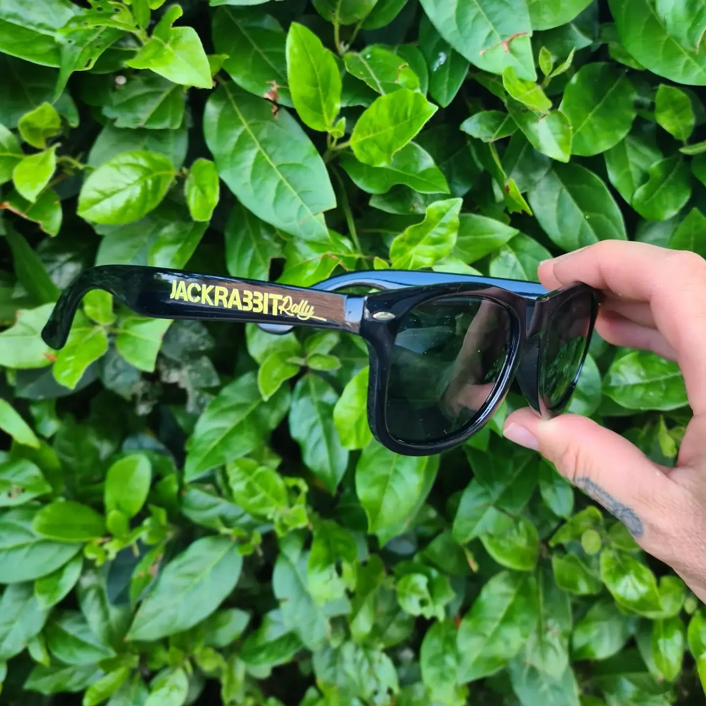 JackRabbit Sunglasses