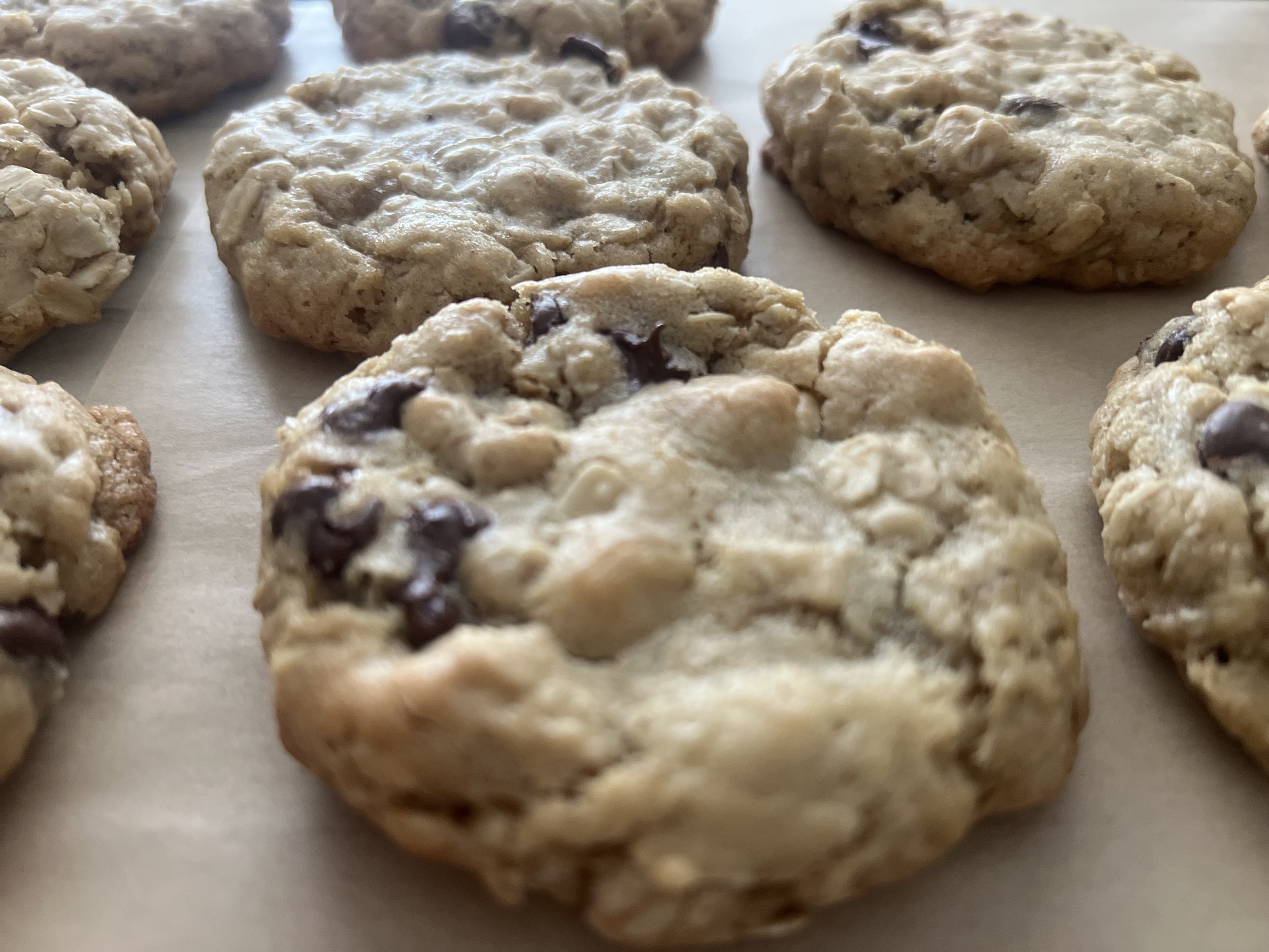 Oatmeal Chocolate Chip