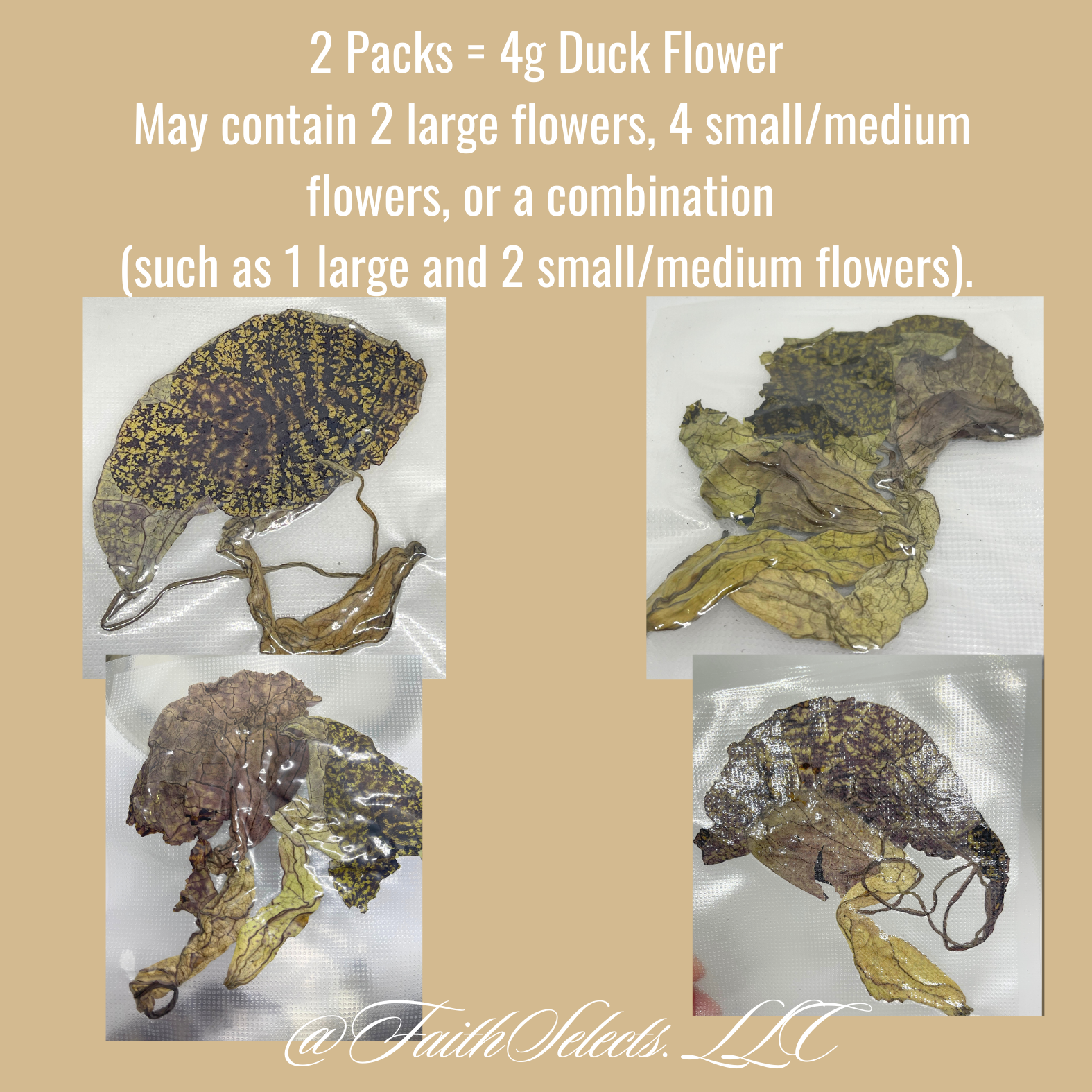 Esty listing(4 x 3 in) (900 x 900 pxEbay) (49).png