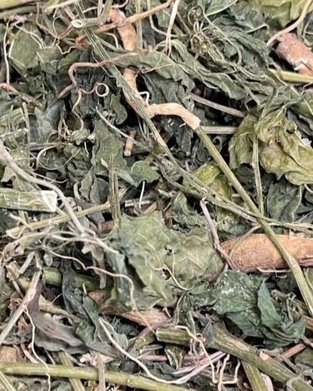 Jamaican Dog Blood Bush Herb