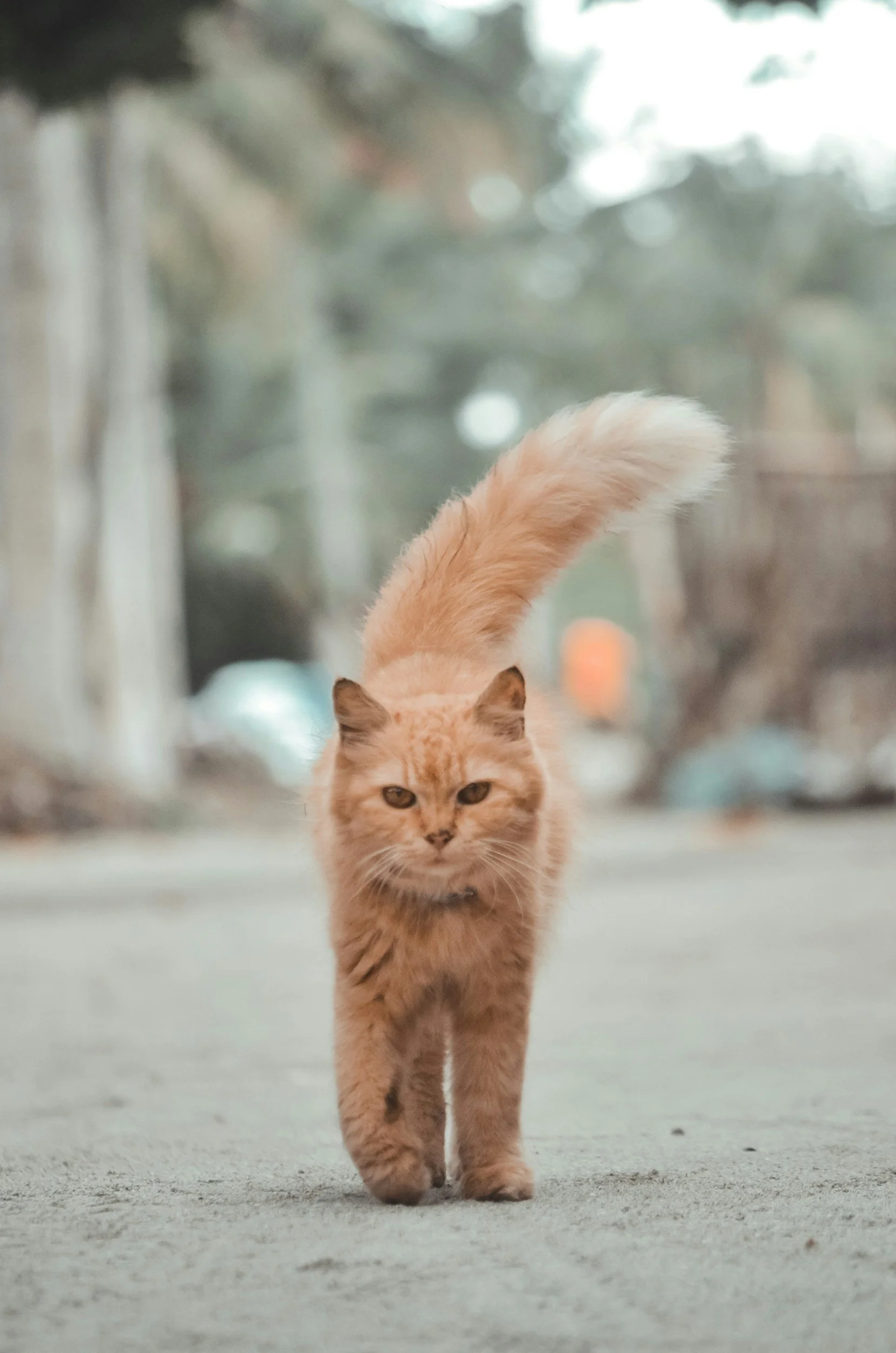 Vad är FNA (finnålsaspiration) och hur går det till?