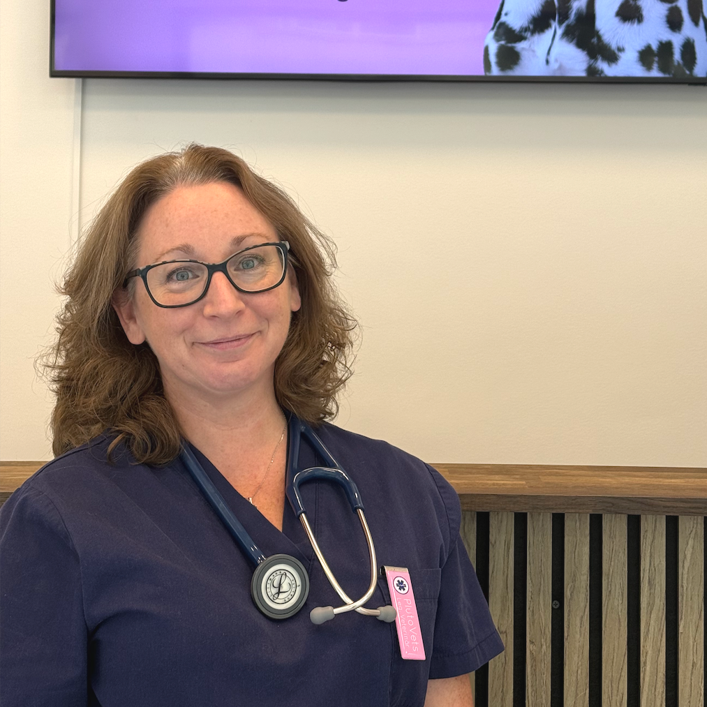 veterinär alexandra eiger