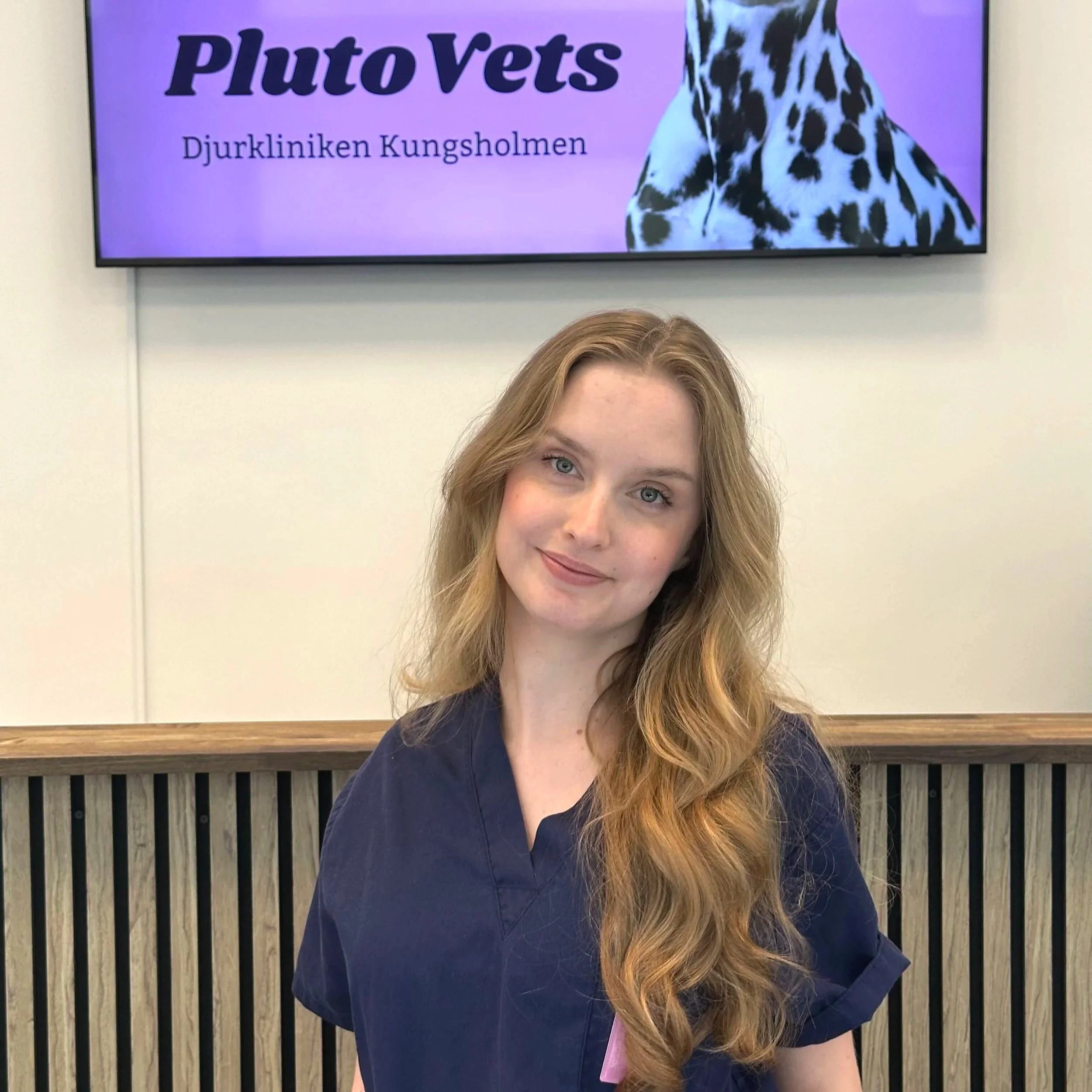 veterinär moa stålfeldt