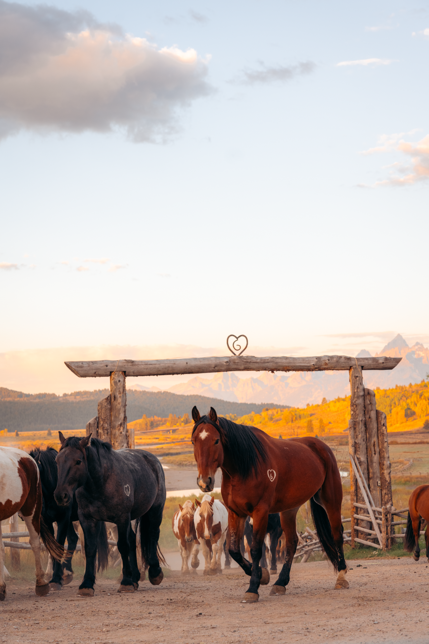 Wyoming-2023-32.png