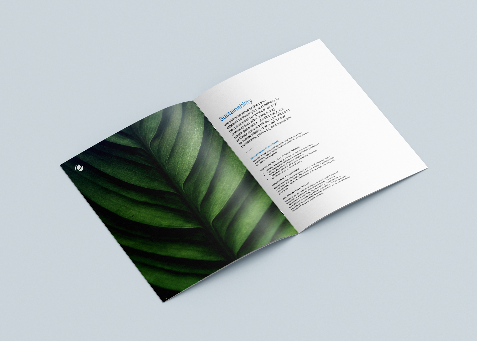 Free_Letter_Brochure_Mockup_7.png