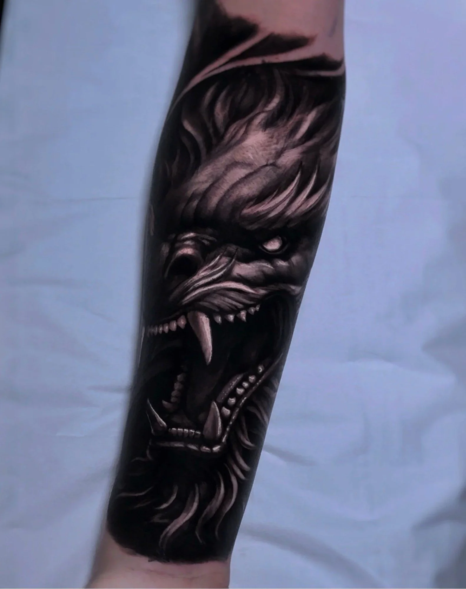 Snarling wolf in dark black and grey realism on a forearm, animal realism tattoo Cologne