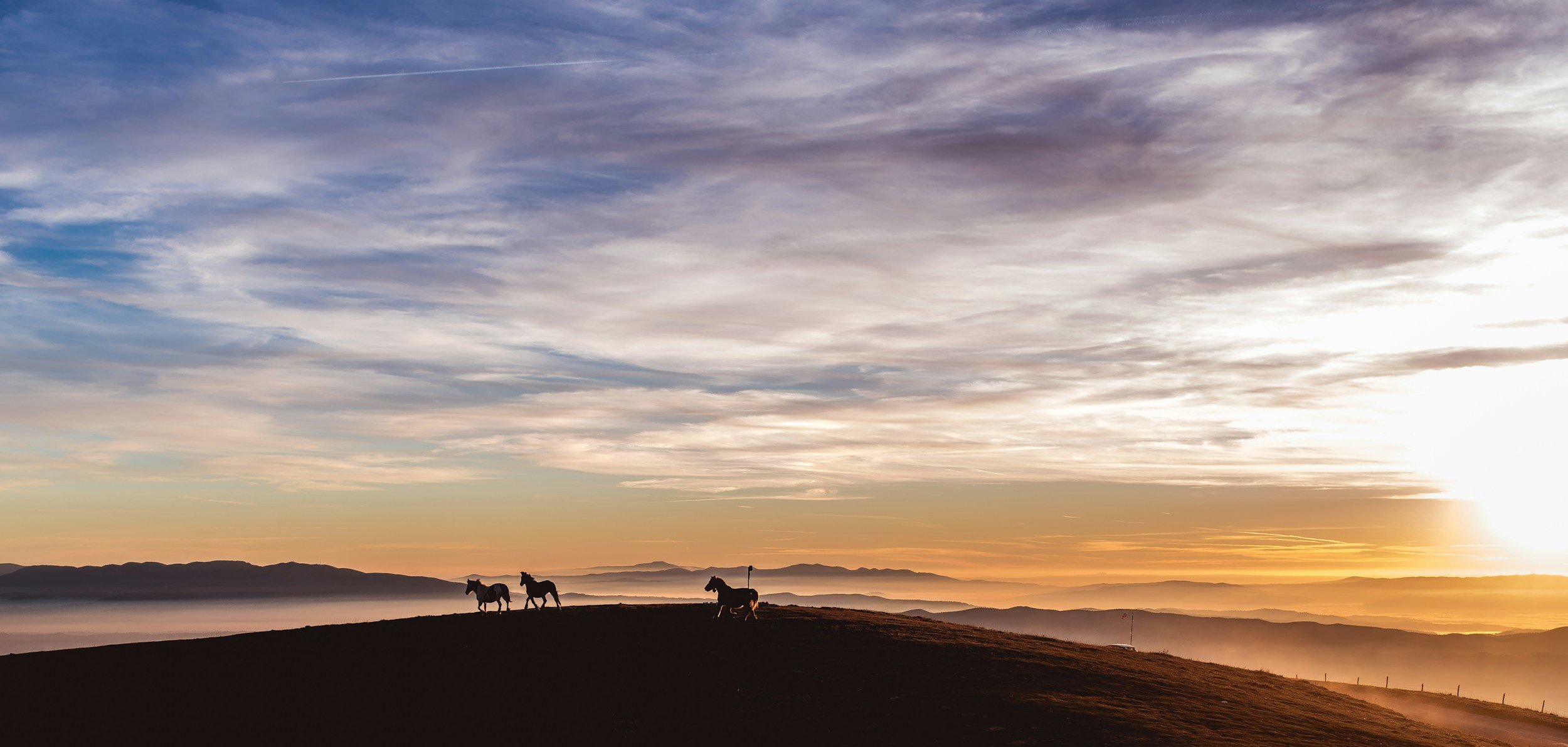 Horses grazing on a hill during a colorful sunrise with layered mountain ranges in the background.