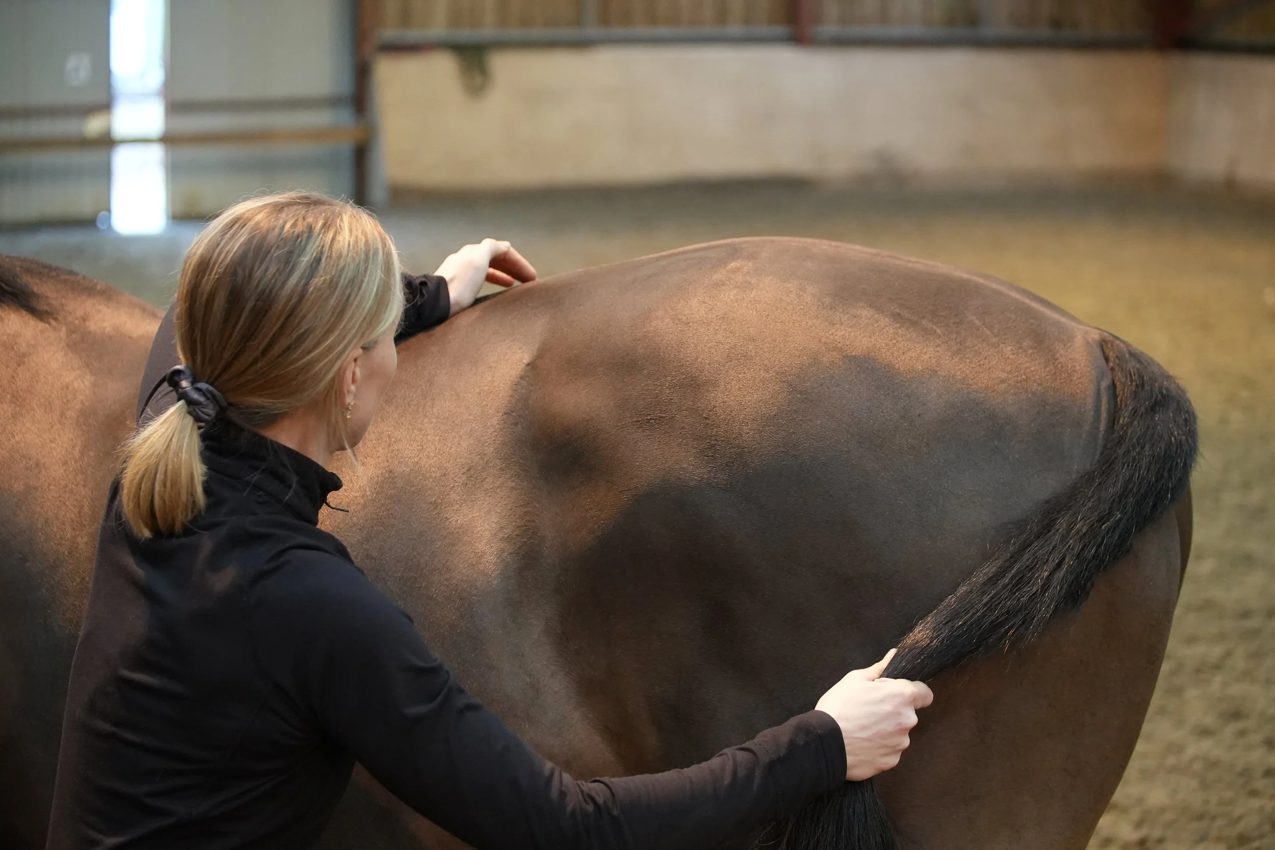 Thoracic mobilisation DSC01017.JPG