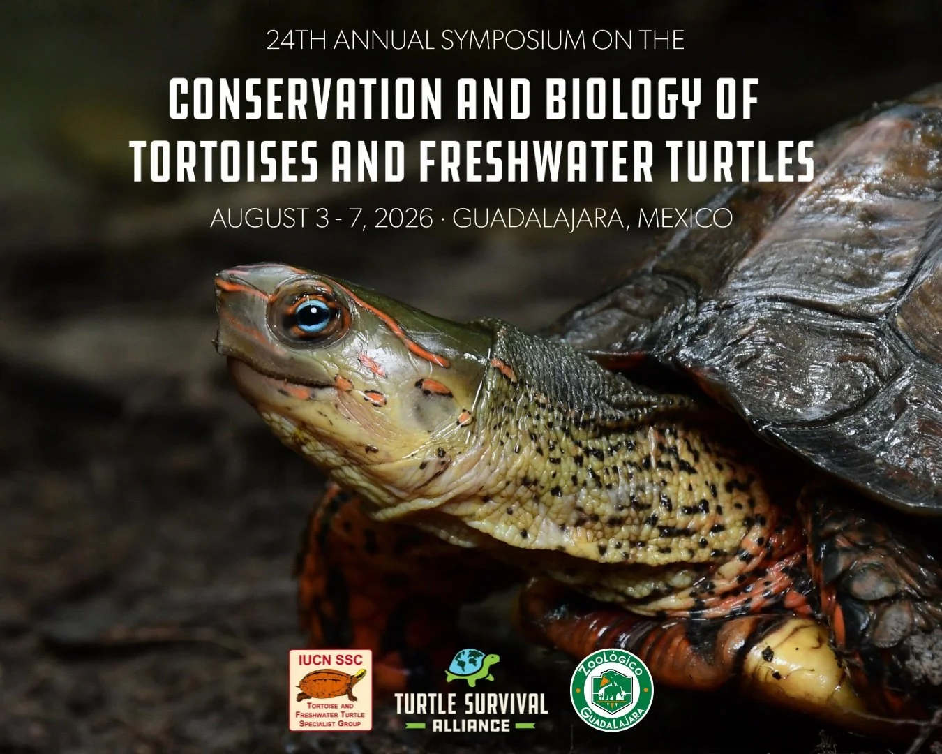 24th Annual Symposium on the Conservation and Biology of Tortoises and Freshwater Turtles