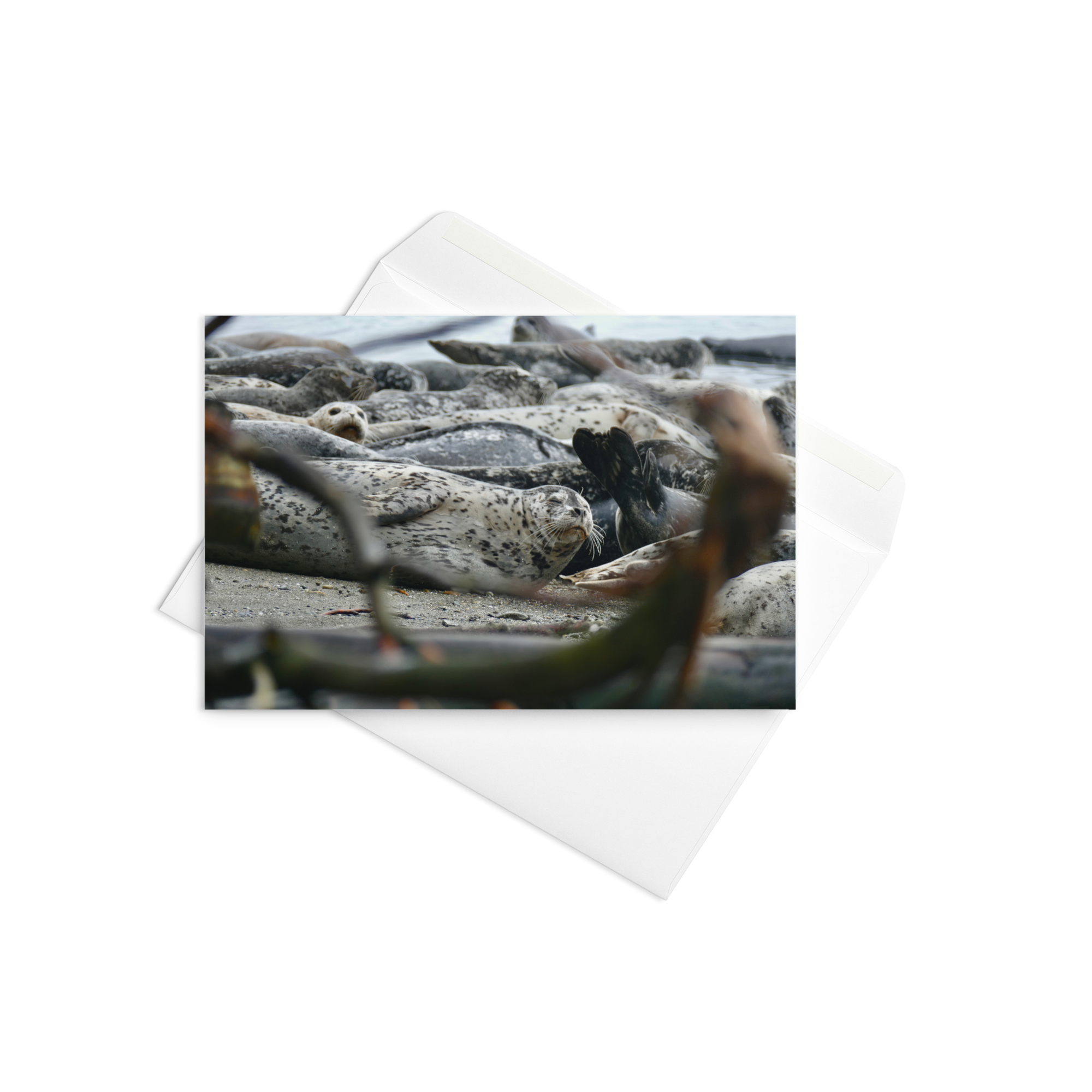 Card - Shoreline Community (1)