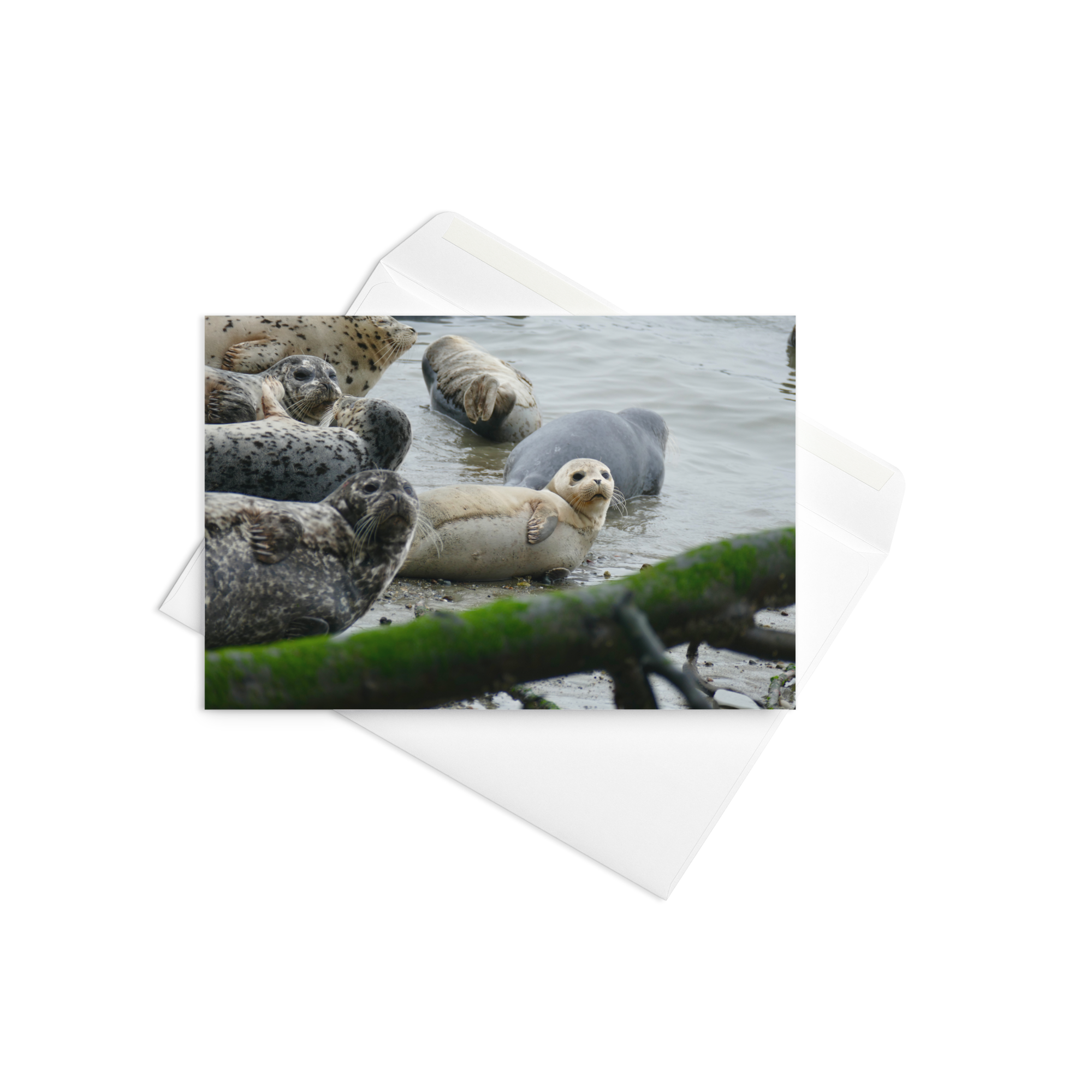 Card - Shoreline Community (2)