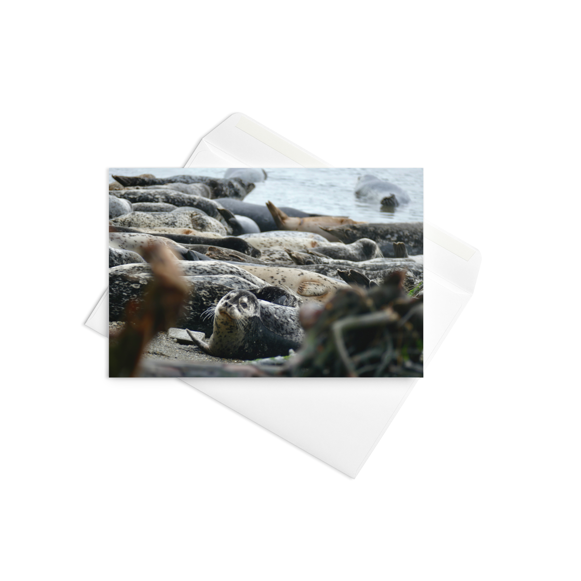 Card - Shoreline Community (3)