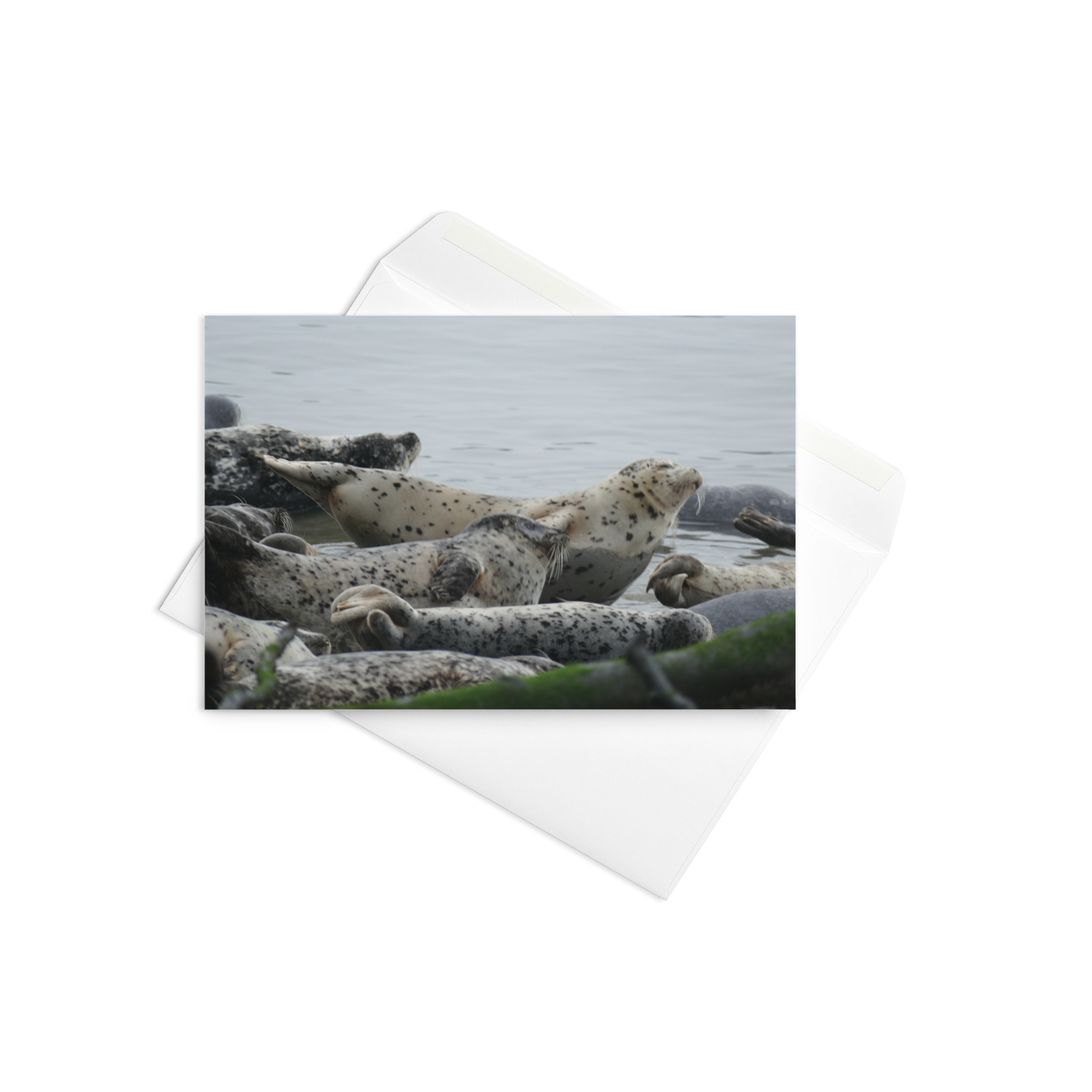 Card - Shoreline Community (4)