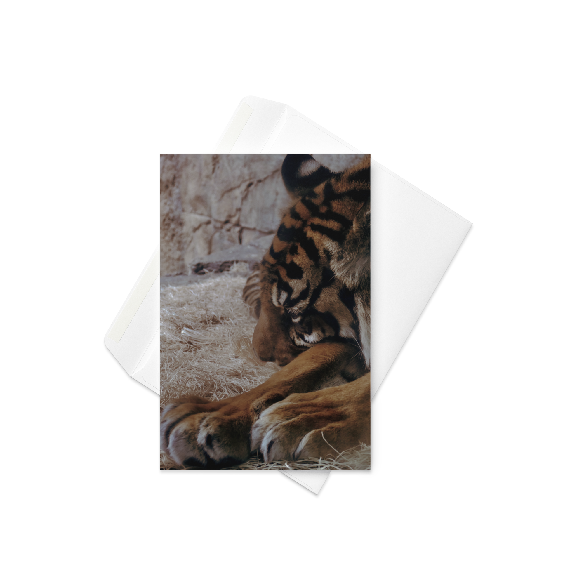 Card - Power and Peace