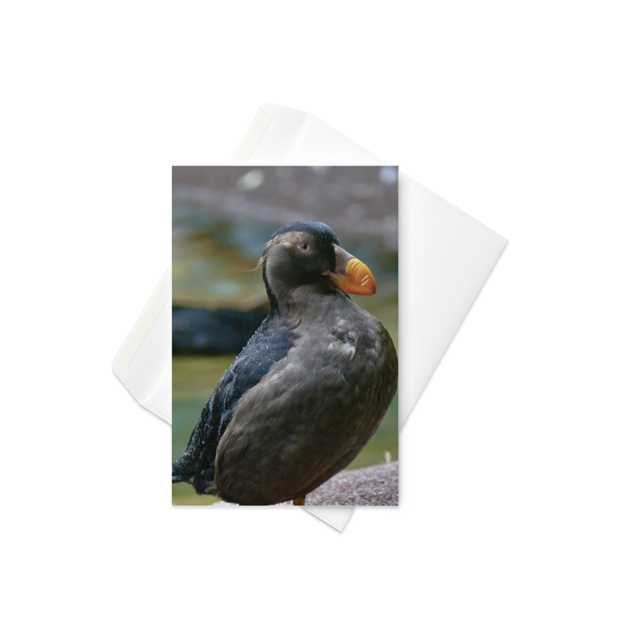 Card - Beak to the Breeze