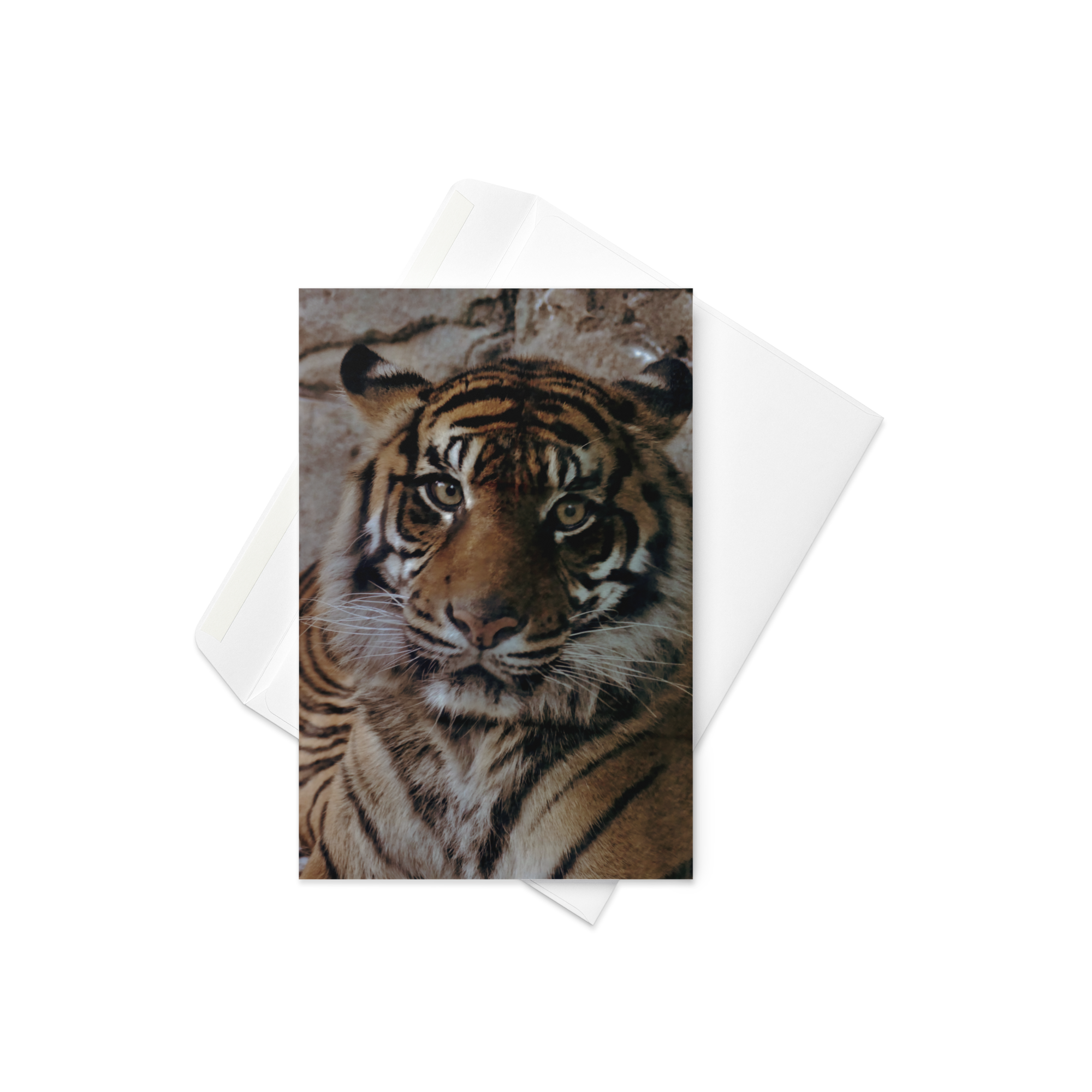 Card - Power and Peace (2)