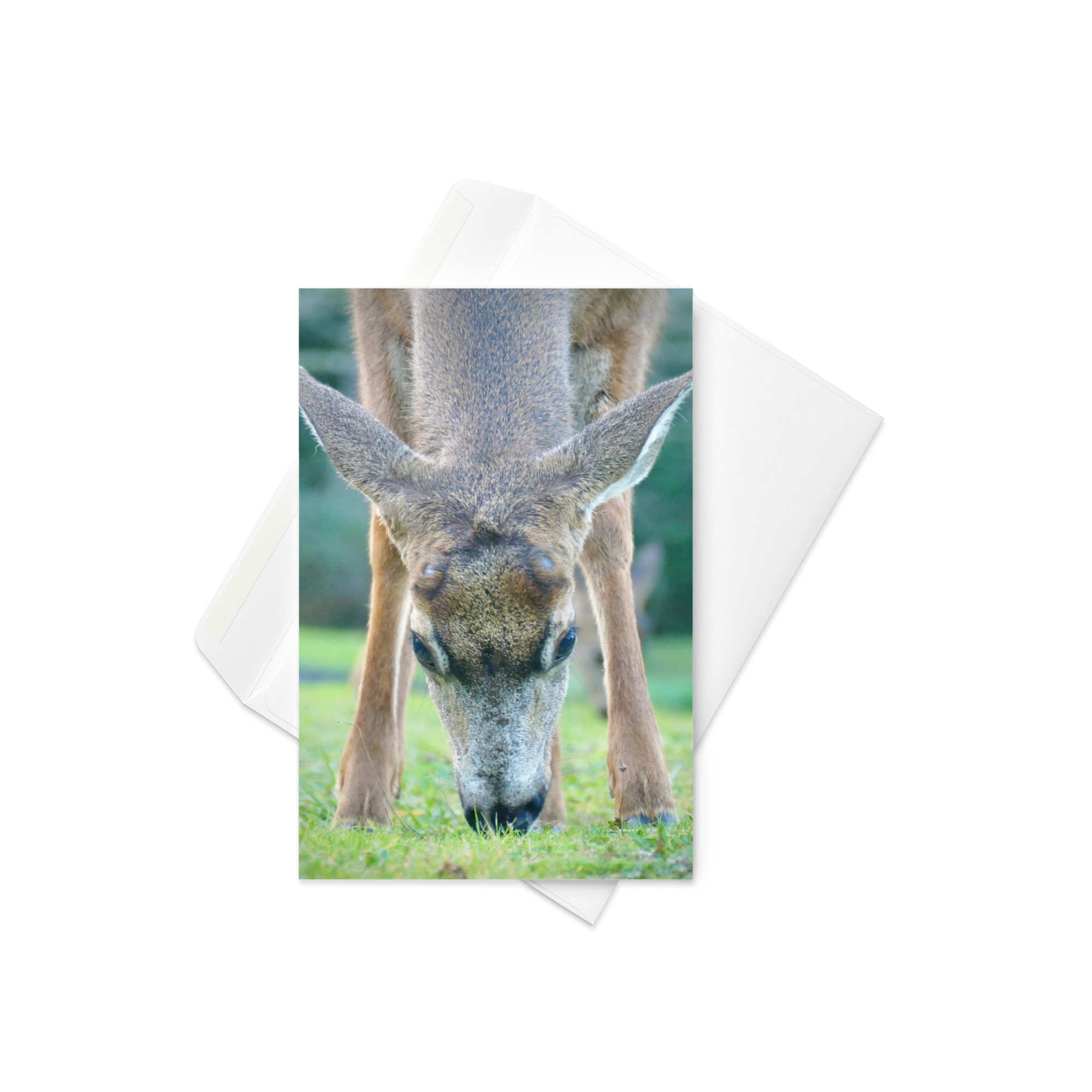 Card - Woodland Deer