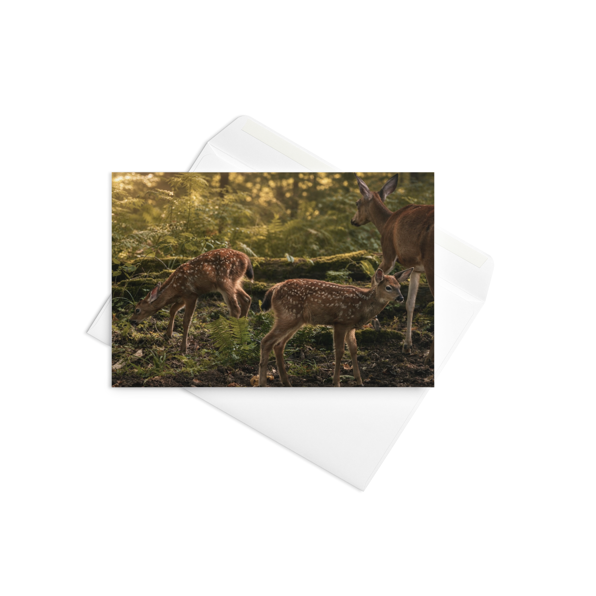 Card - Growing Wild