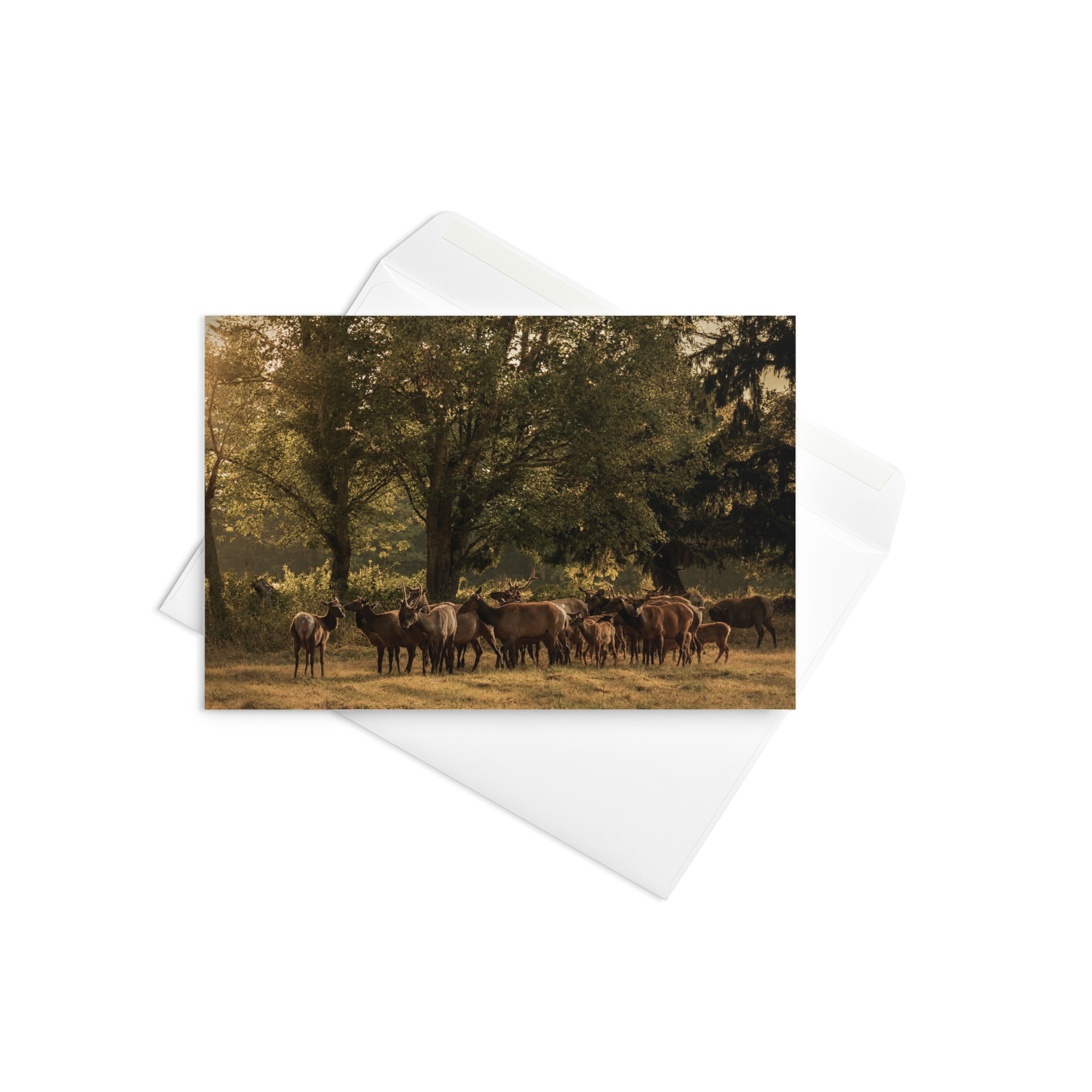 Card - Morning Huddle