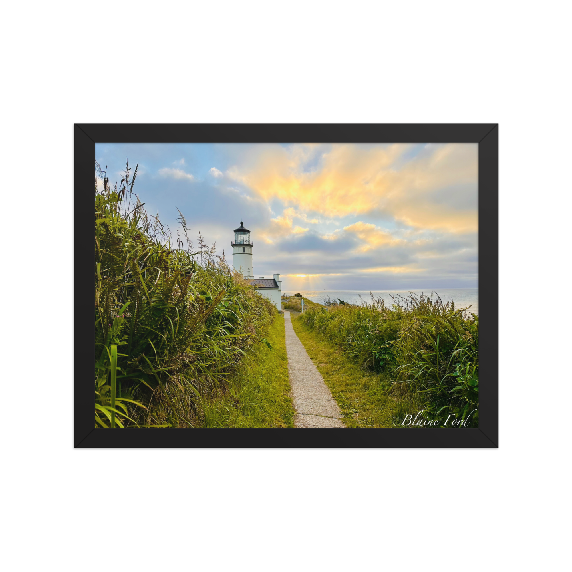 enhanced-matte-paper-framed-poster-(in)-black-12x16-front-6797e1ad7cdae.png