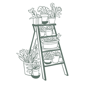 The Only 5 Essential Oils You Really Need: Part 1